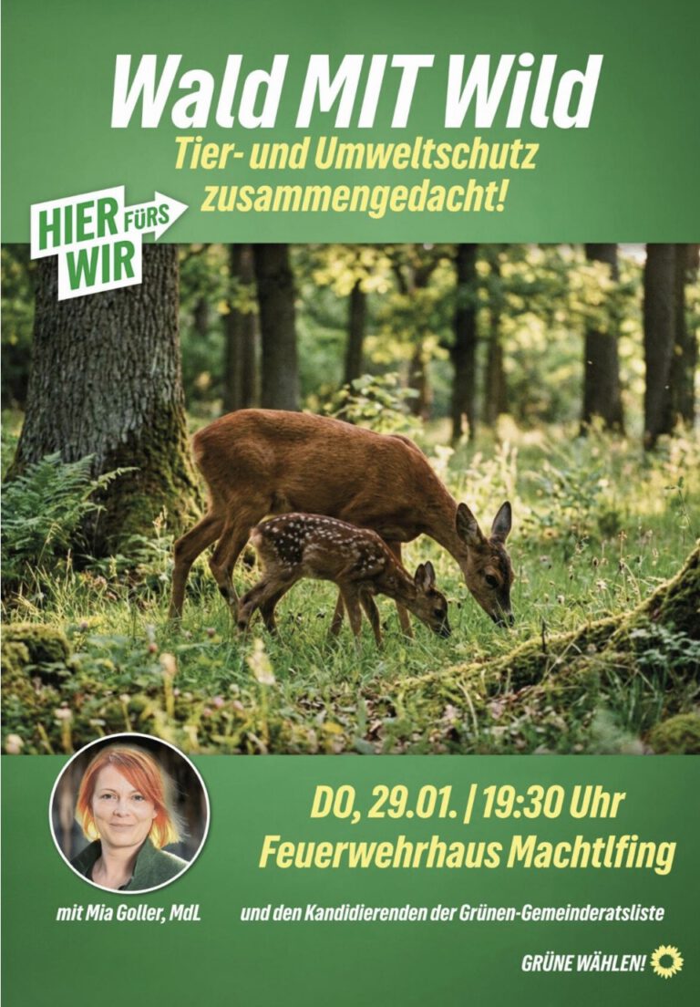 Andechs Wald MIT Wild